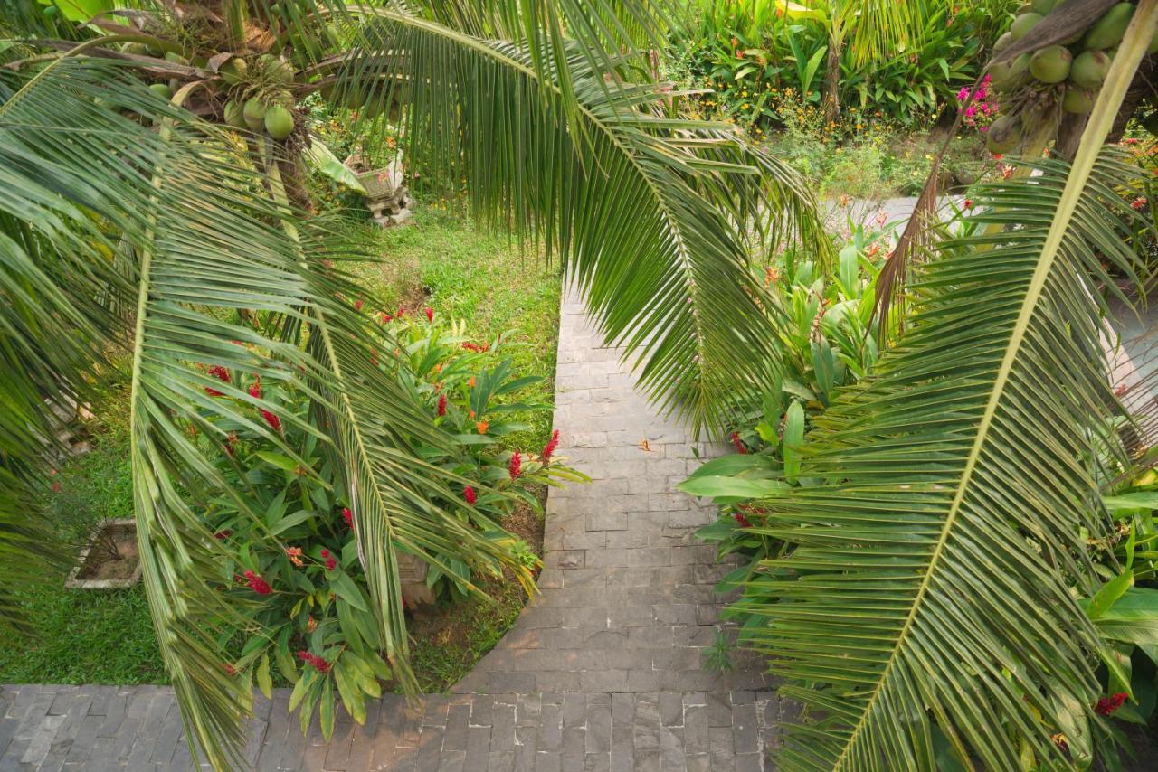 Hoi An Luna Villa Εξωτερικό φωτογραφία
