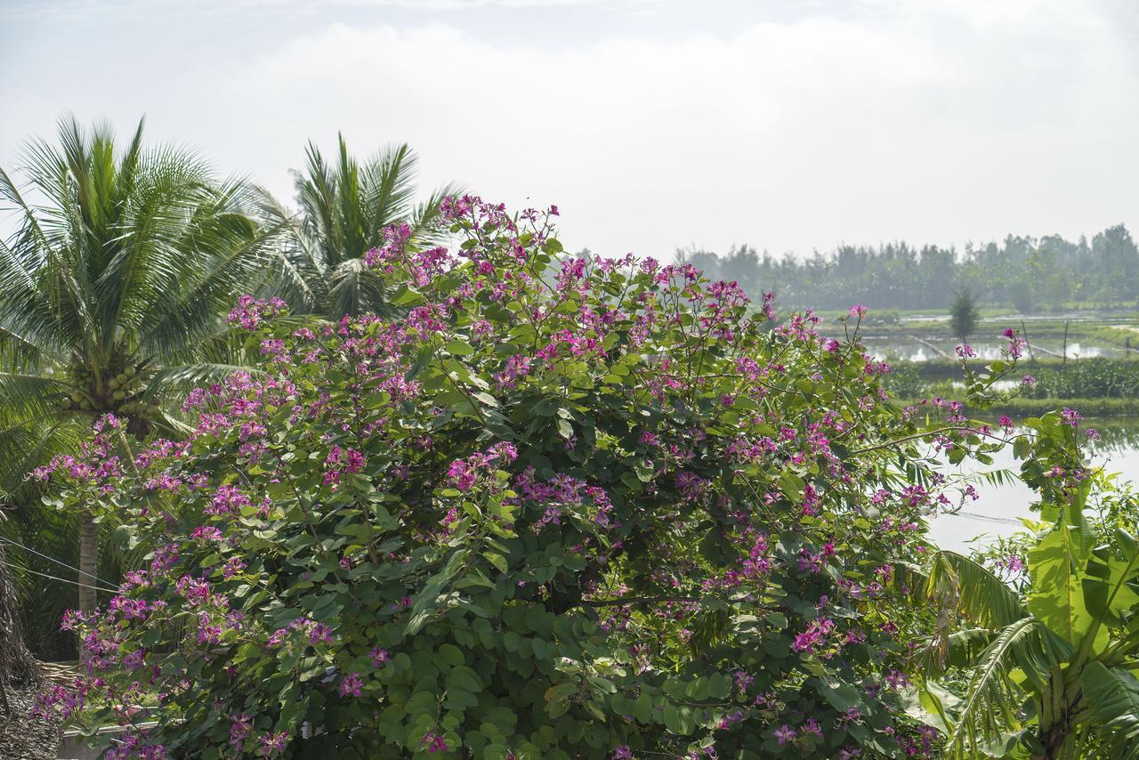 Hoi An Luna Villa Εξωτερικό φωτογραφία
