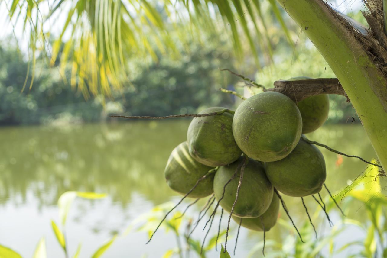 Hoi An Luna Villa Εξωτερικό φωτογραφία