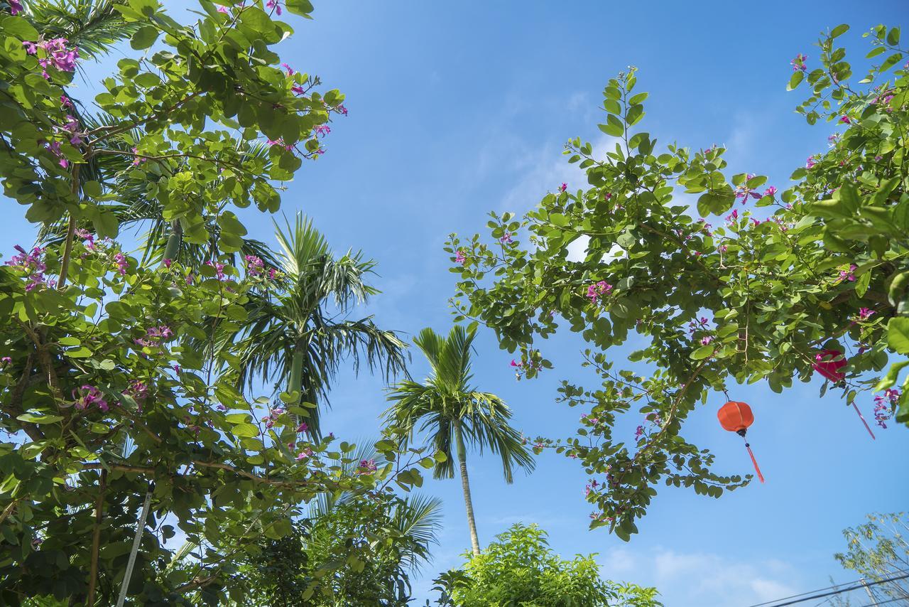 Hoi An Luna Villa Εξωτερικό φωτογραφία